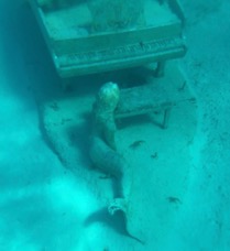 Musha Cay Mermaid